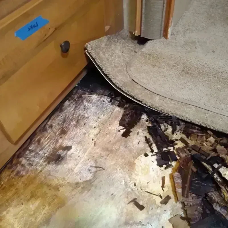 Best Wood Floor Water Damage Service in Alto, WI